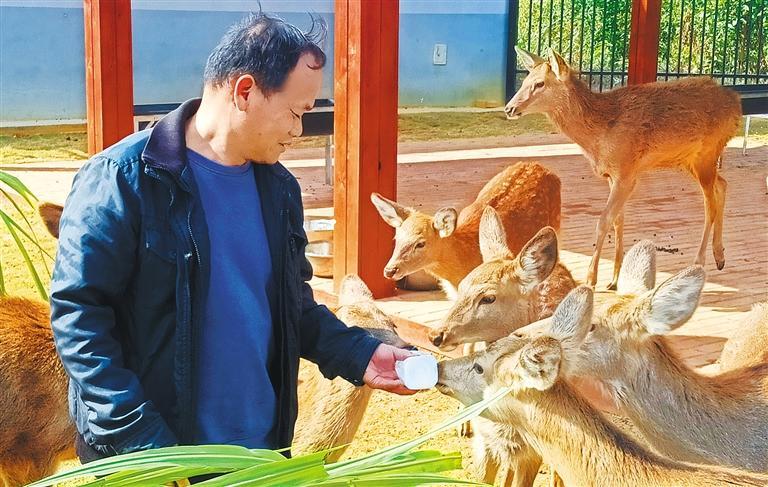 发展产业调研】林下生金不朽情缘网站【高质