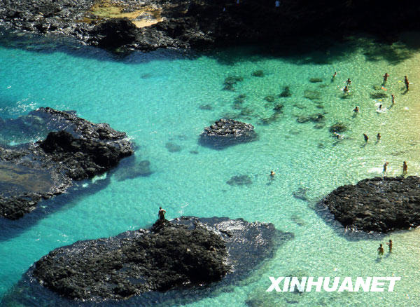 尔南多—迪诺罗尼亚岛不朽情缘网站美丽的费