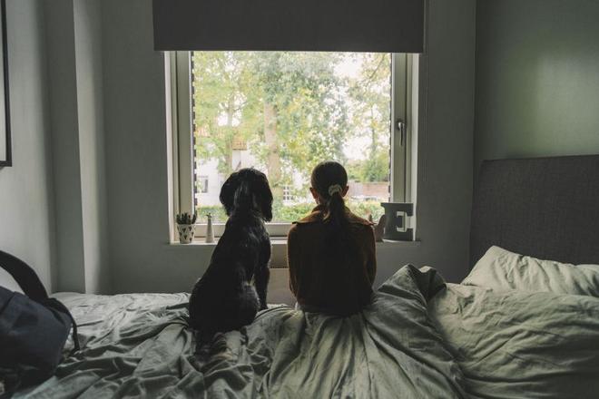 安全套没人买了情趣用品却卖爆了不朽情缘app一生含蓄的中国人(图7)